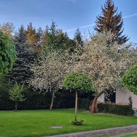 Pod Jablonia Villa Bydgoszcz Eksteriør billede