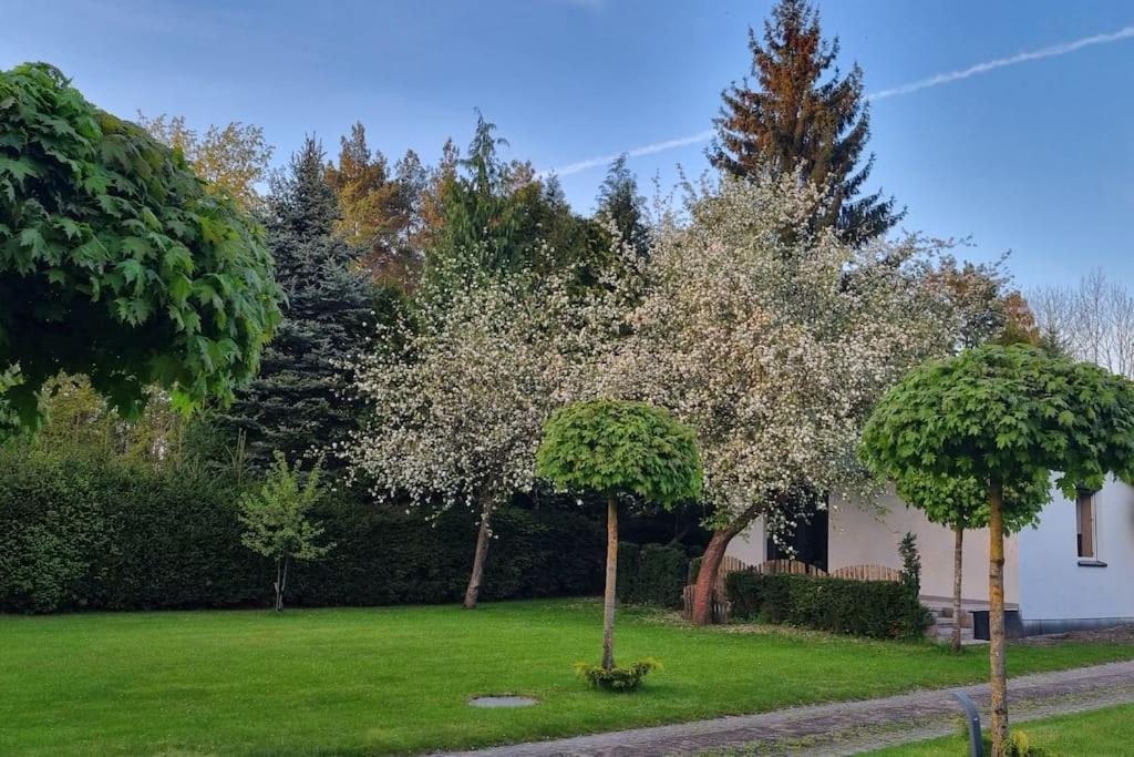 Pod Jablonia Villa Bydgoszcz Eksteriør billede