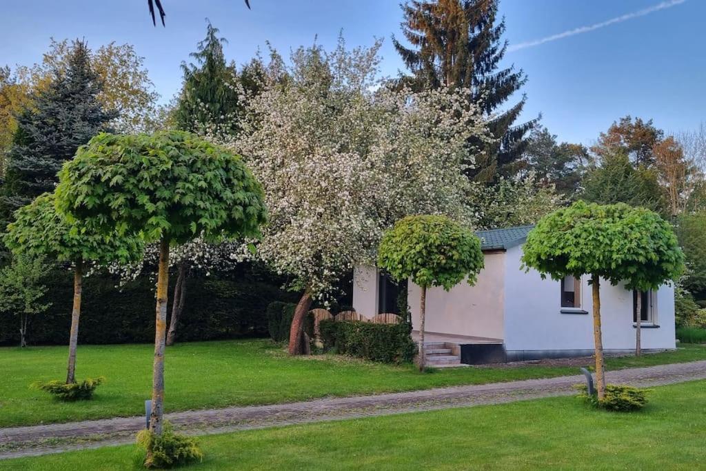 Pod Jablonia Villa Bydgoszcz Eksteriør billede